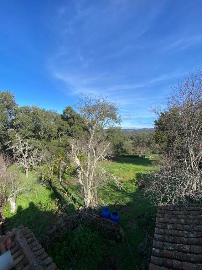 Espaciosa Y Elegante Casa Rural En Los Marines Kültér fotó